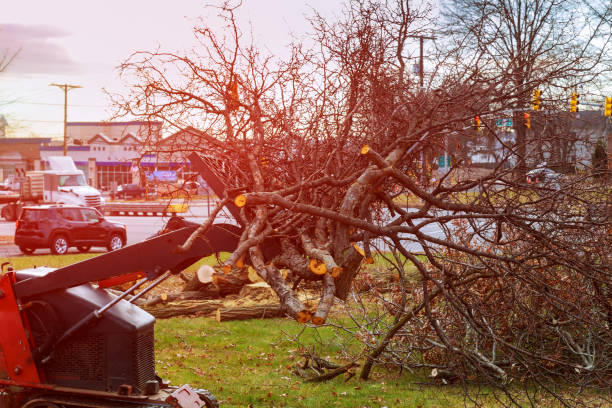 Seasonal Cleanup in Ogallala, NE